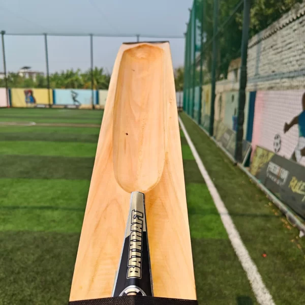 SOFT TENNIS CRICKET BAT (SINGLE SCOOP) - Image 6